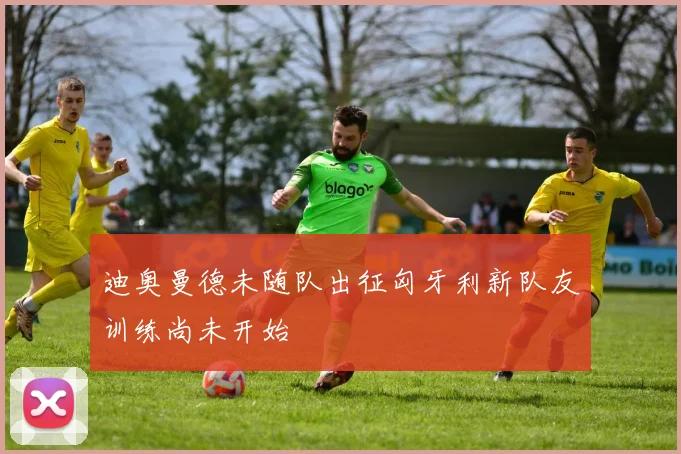 迪奥曼德未随队出征匈牙利新队友训练尚未开始